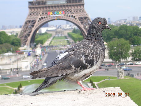  첨부파일  - 2.jpg