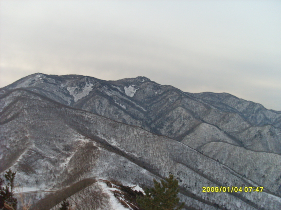  첨부파일  - SL382307.jpg