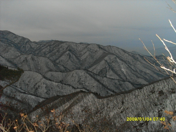  첨부파일  - SL382304.jpg