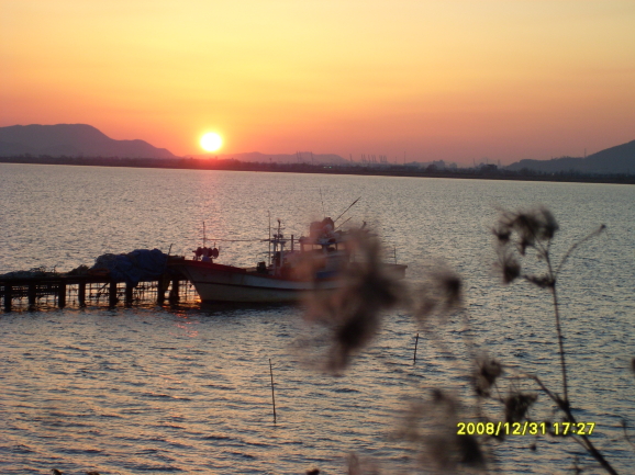  첨부파일  - SL382281.jpg