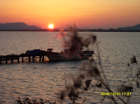  첨부파일  - SL382286.jpg