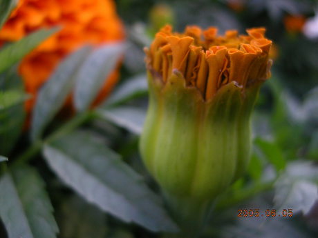  첨부파일  - downloadCAEH9A59.jpg