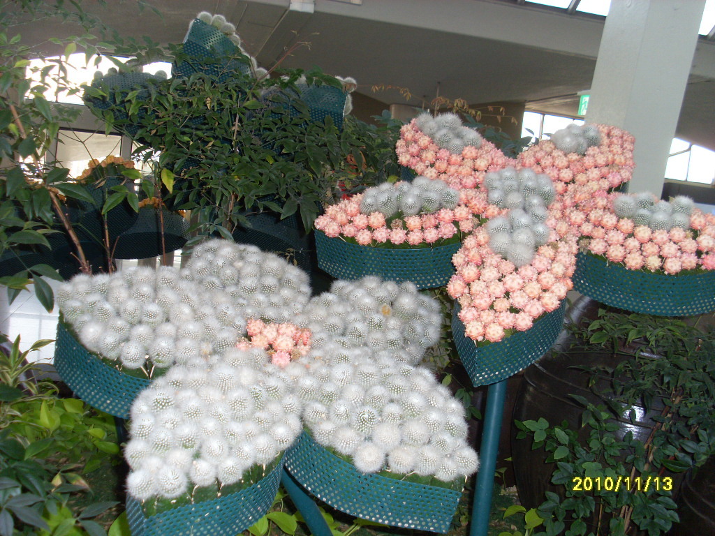  첨부파일  - SL385460.jpg