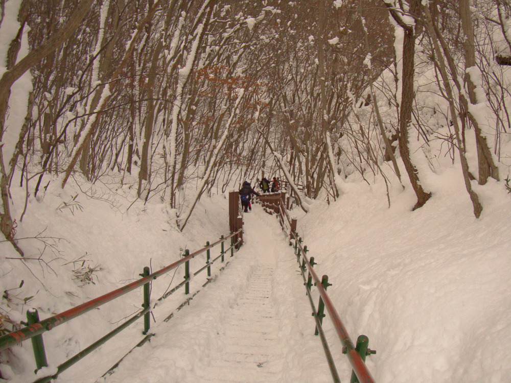  첨부파일  - DSC05780.jpg