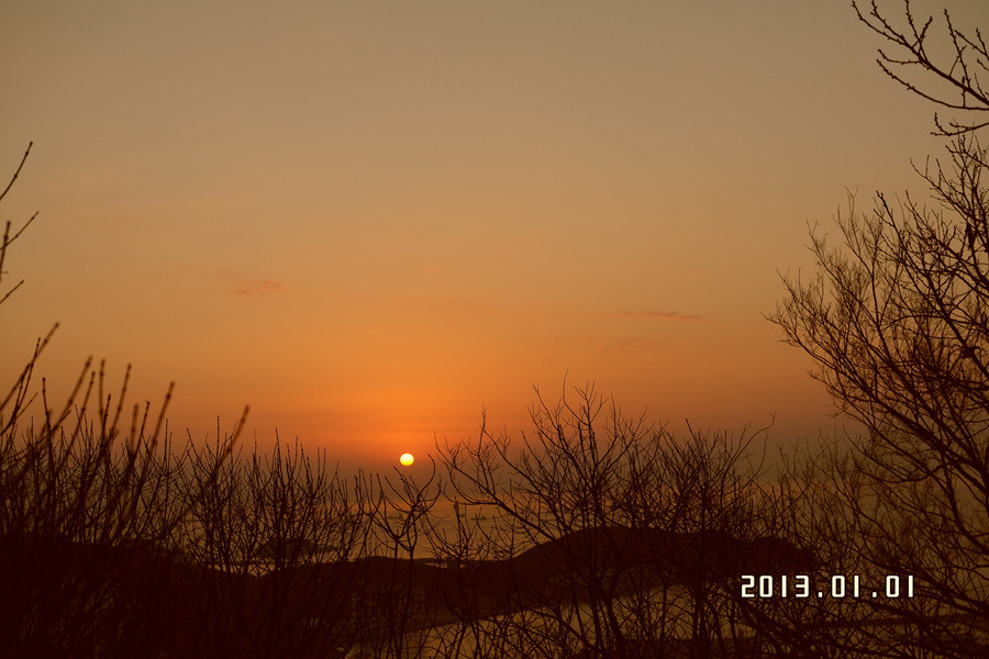  첨부파일  - SAM_1119.jpg