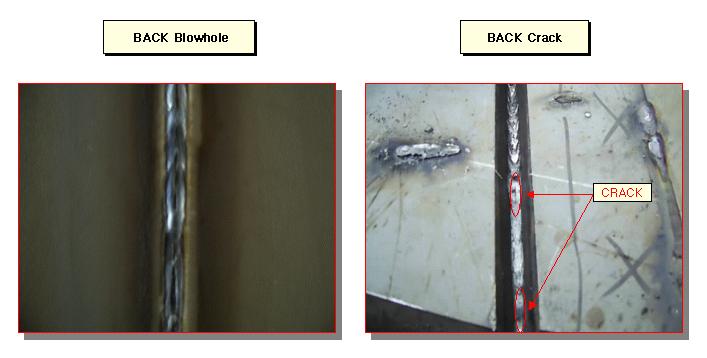  첨부파일  - BACK+BLOWHOLE.jpg